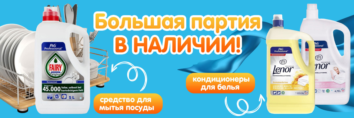 Большая партия