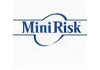 Mini Risk
