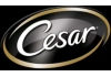 Cesar